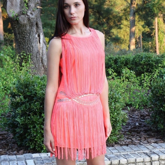 drop waist gatsby dress